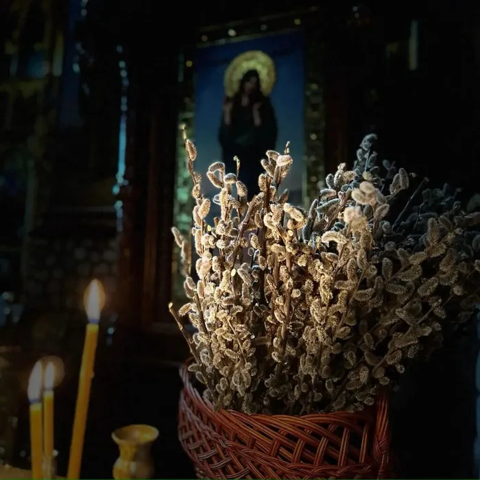 IMG_20260406_142001_568