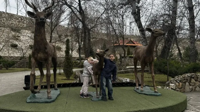 IMG_20260406_095444_470