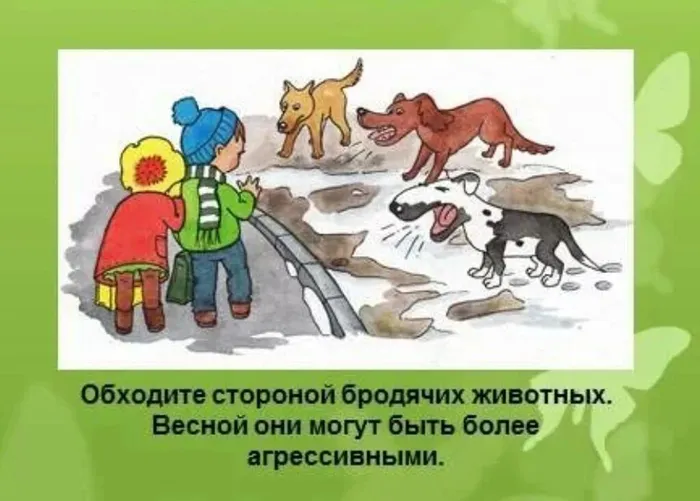 IMG_20260406_094748_650